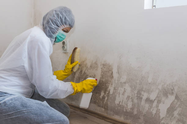 Crawl Space Mold Removal in Edcouch, TX