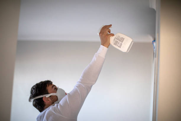 Best Affordable Mold Removal  in Edcouch, TX