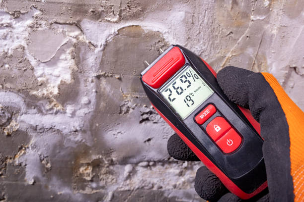 Best Mold Remediation  in Edcouch, TX