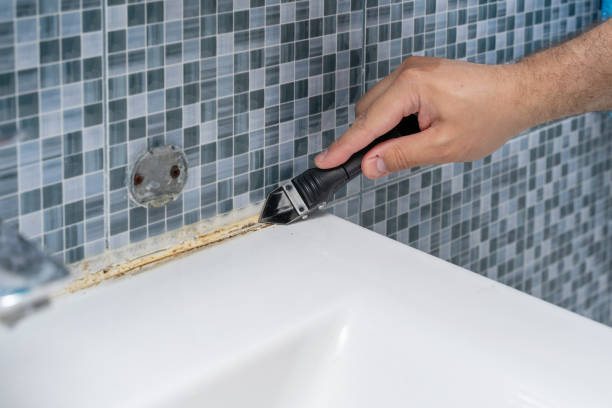Best Attic Mold Removal  in Edcouch, TX