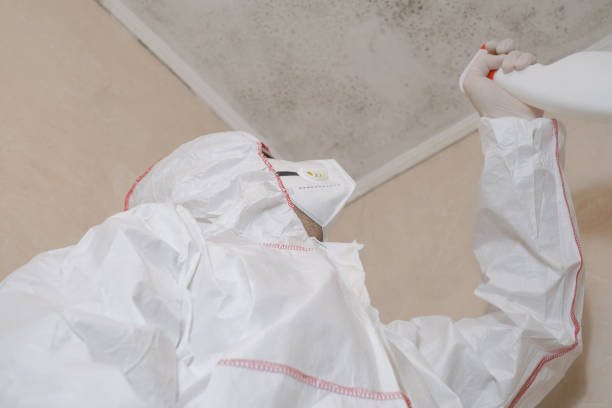 Best Residential Mold Removal  in Edcouch, TX