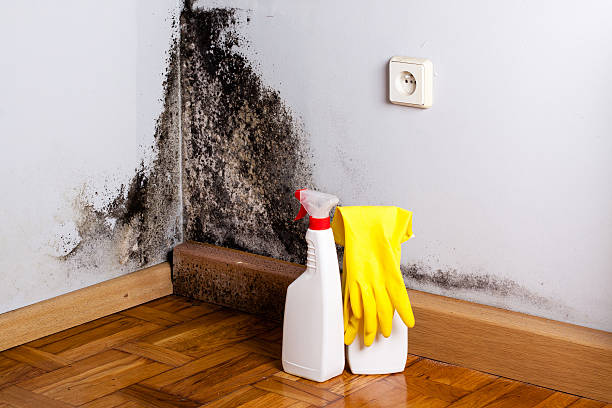 Water Damage Restoration in Edcouch, TX
